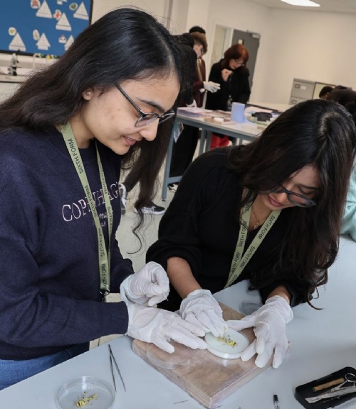 Curiosity in Action: Students Take on British Science Week Challenges ​​​​​​​​​​​​​​